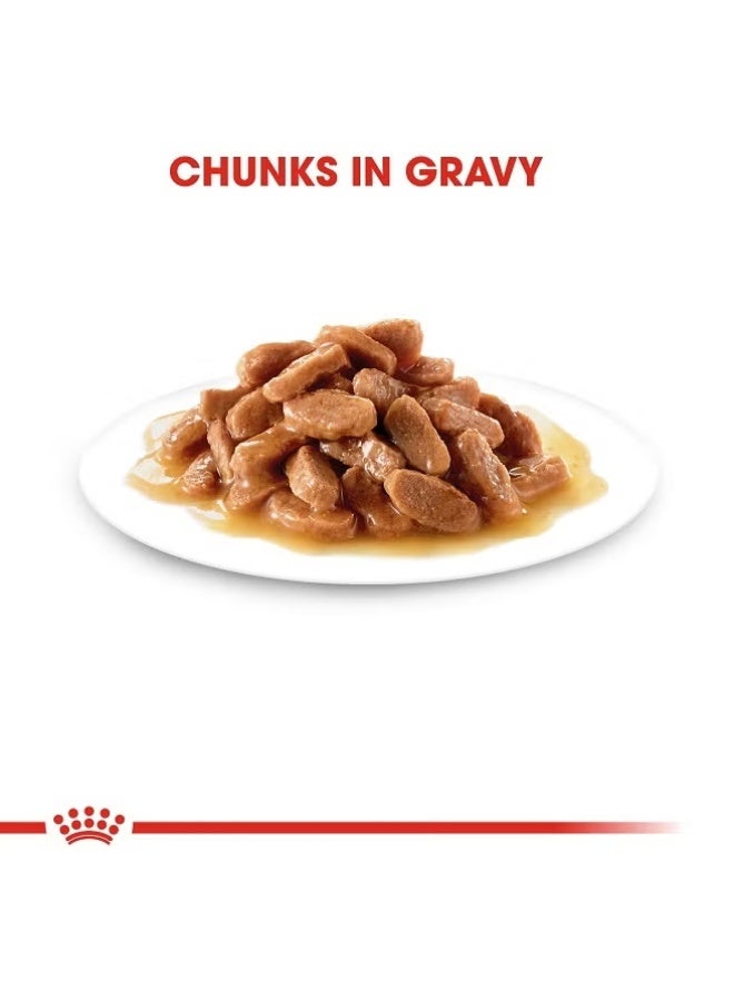 ROYAL CANIN Pack Of 12 Kitten Gravy Salsa Instinctive Food Brown 85grams - Image 4